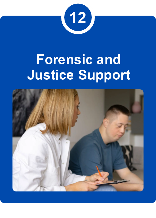 Behaviour Support 12